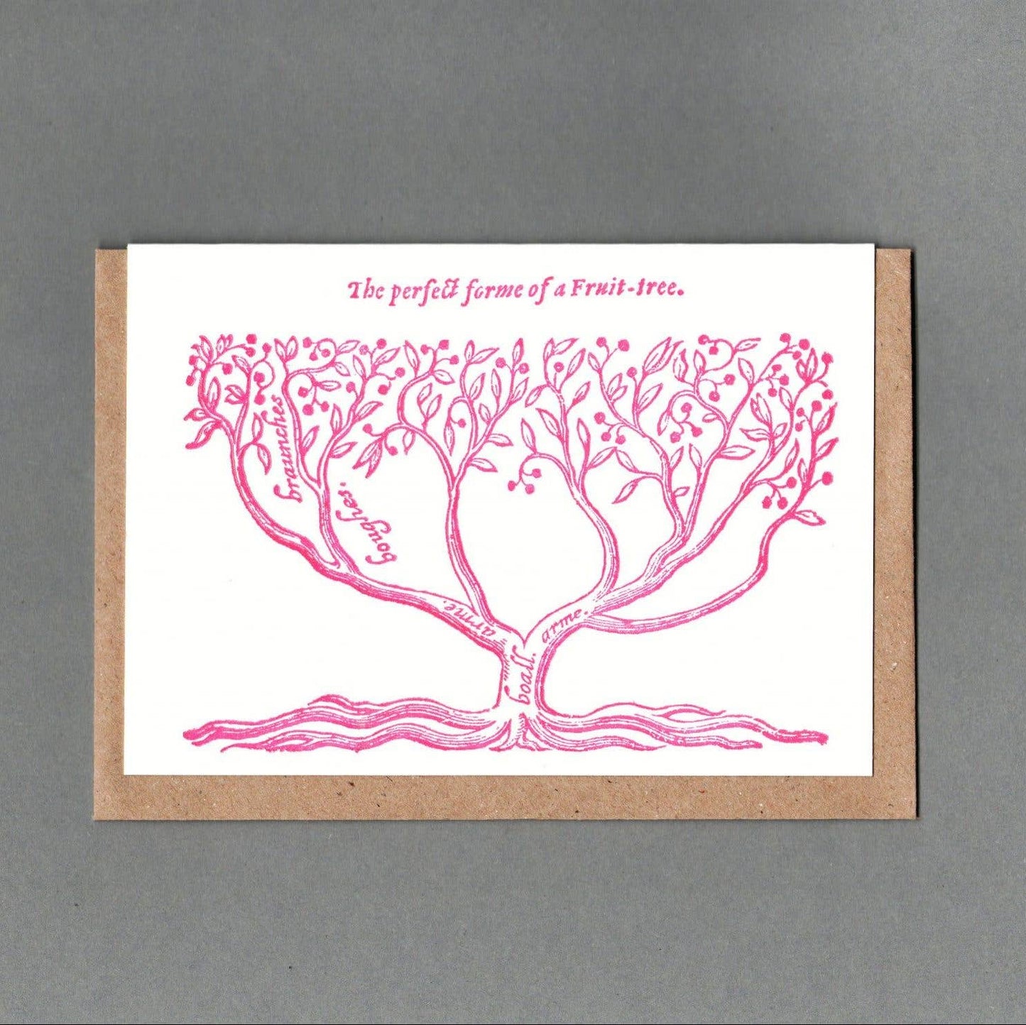 Fruit Tree. Letterpress Greeting Card