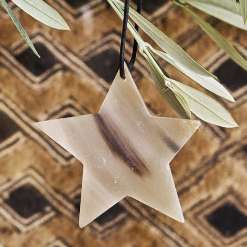 Horn Christmas Star Decoration
