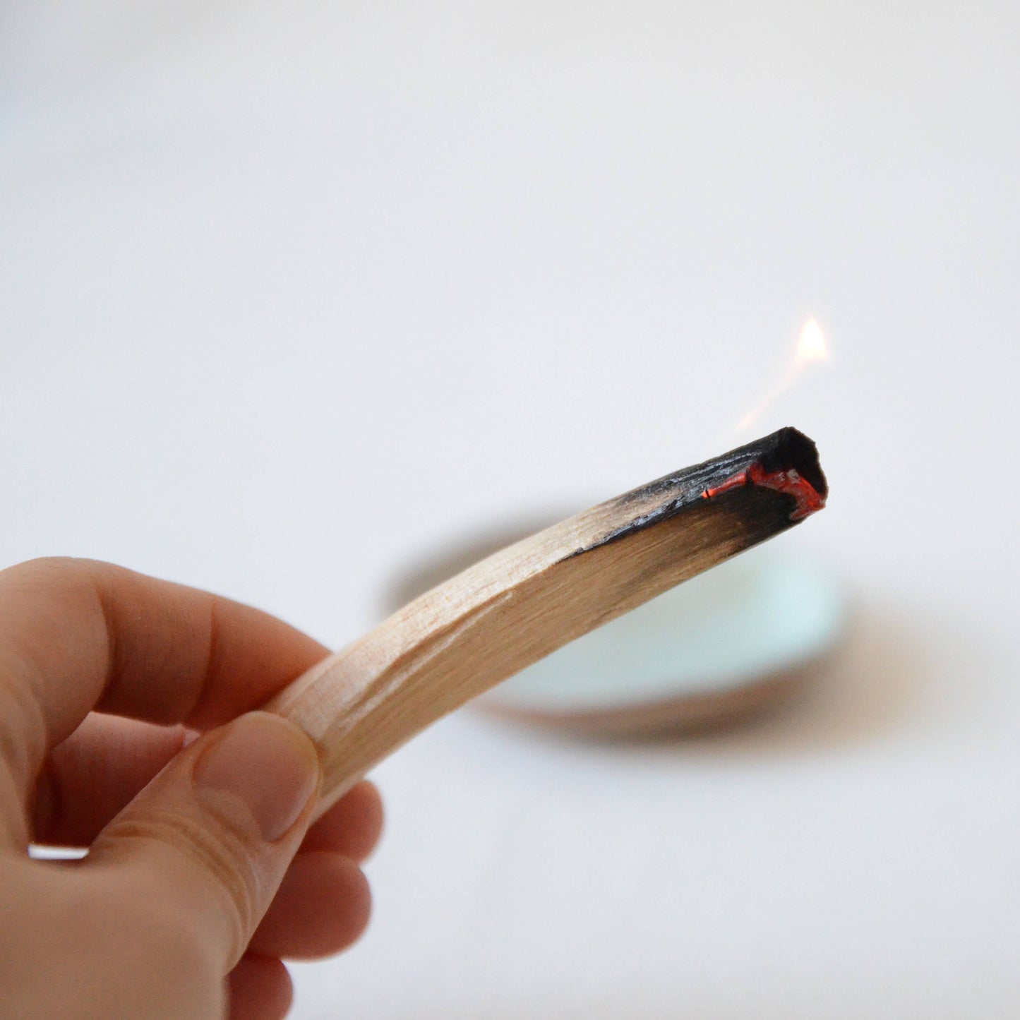 Palo Santo Sticks From Ecuador - 10 sticks