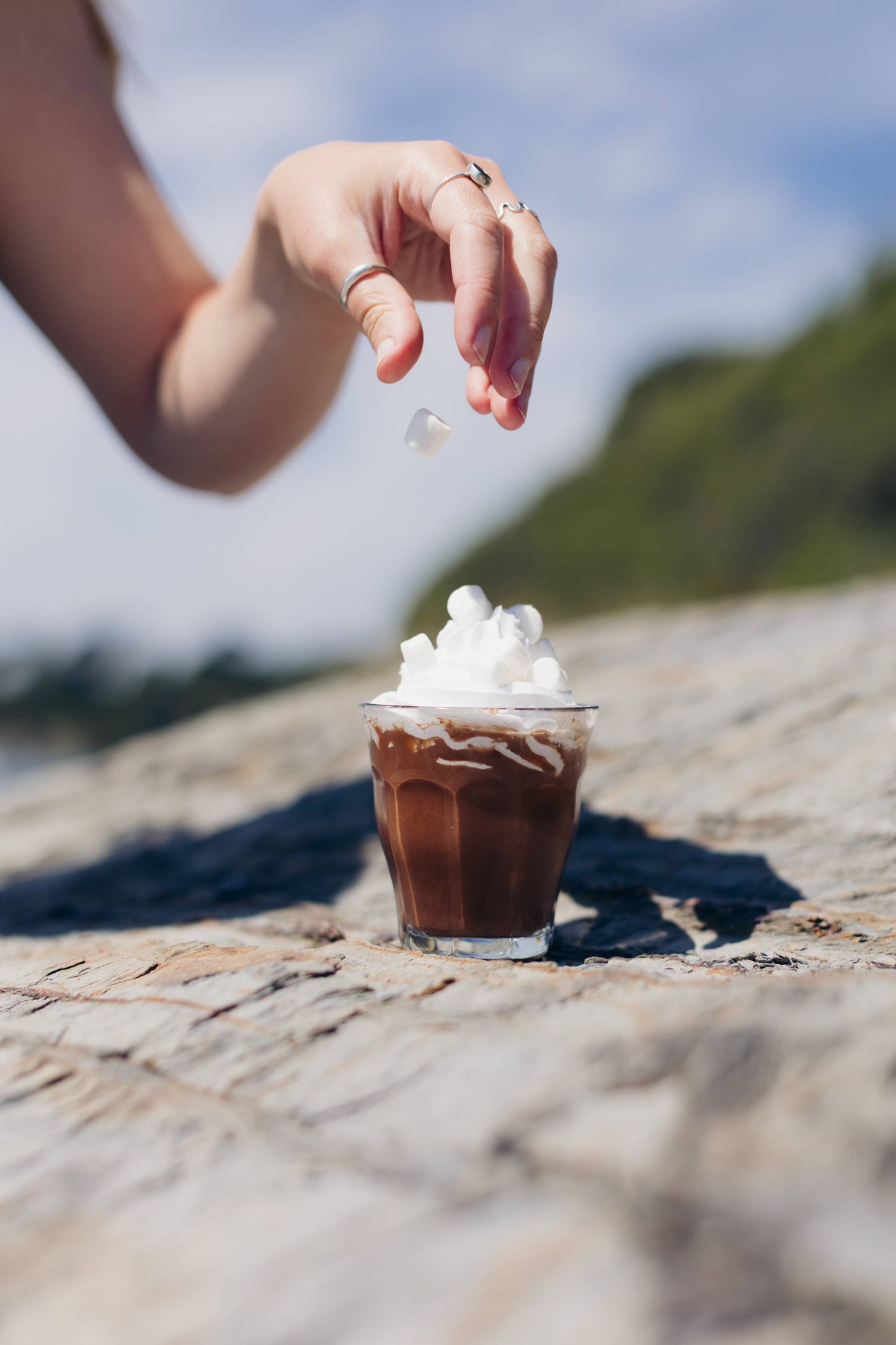 Harth Choco Vanilla Milkshake
