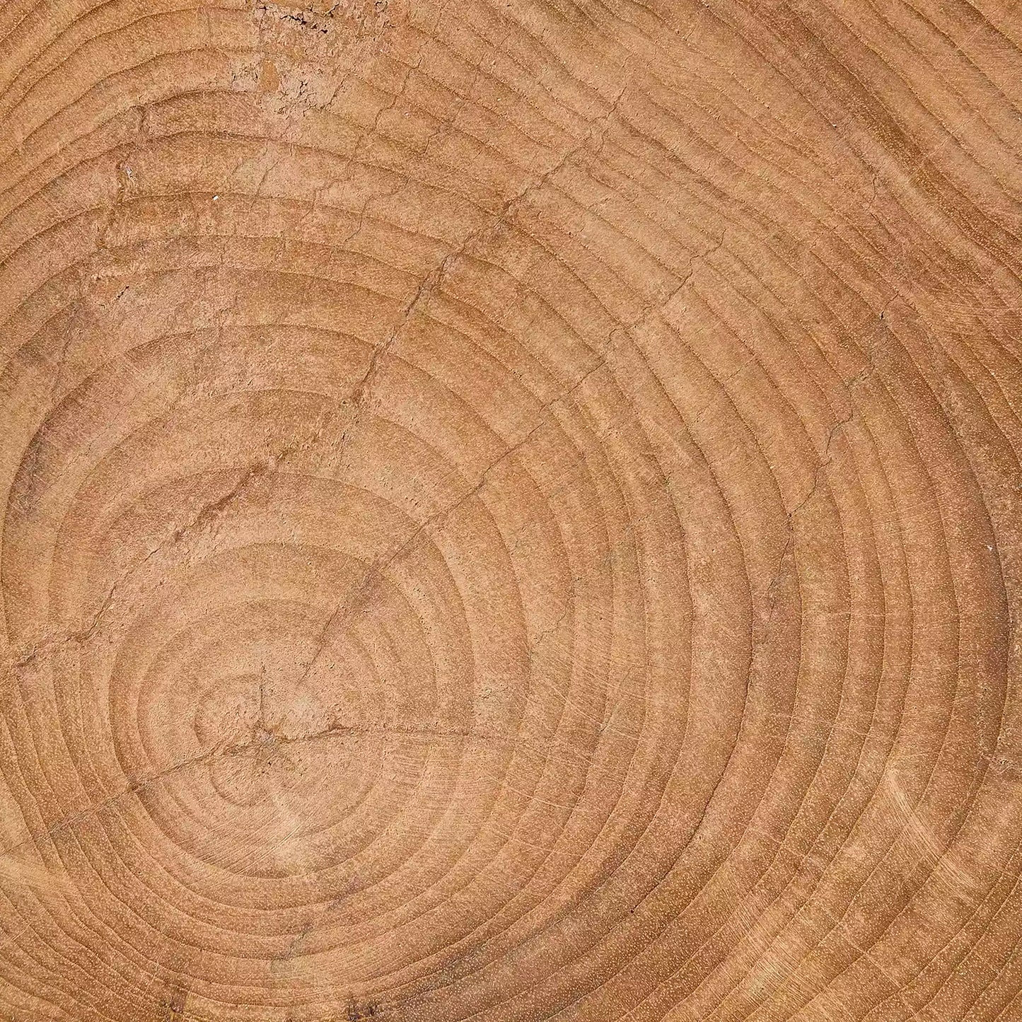 'Solid' Stool
