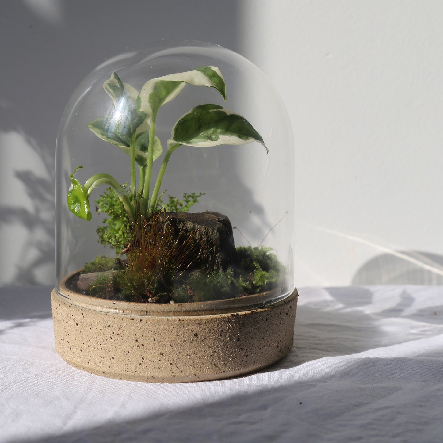 Terrarium by Clare Ceramics