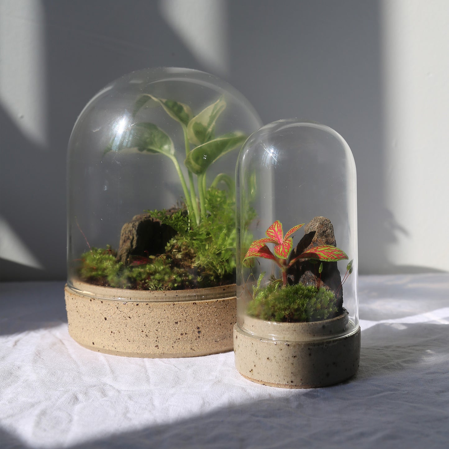 Terrarium by Clare Ceramics