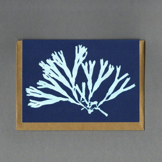Cyan Seaweed 6. Greeting Card, Eco Friendly
